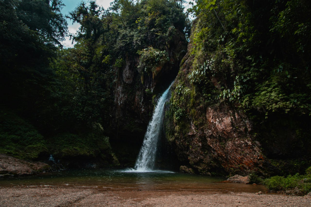 Foto: Pexels