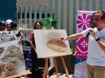 Mario Riestra denuncia en Cofepris entrega de pan con hongo en IMSS La Margarita