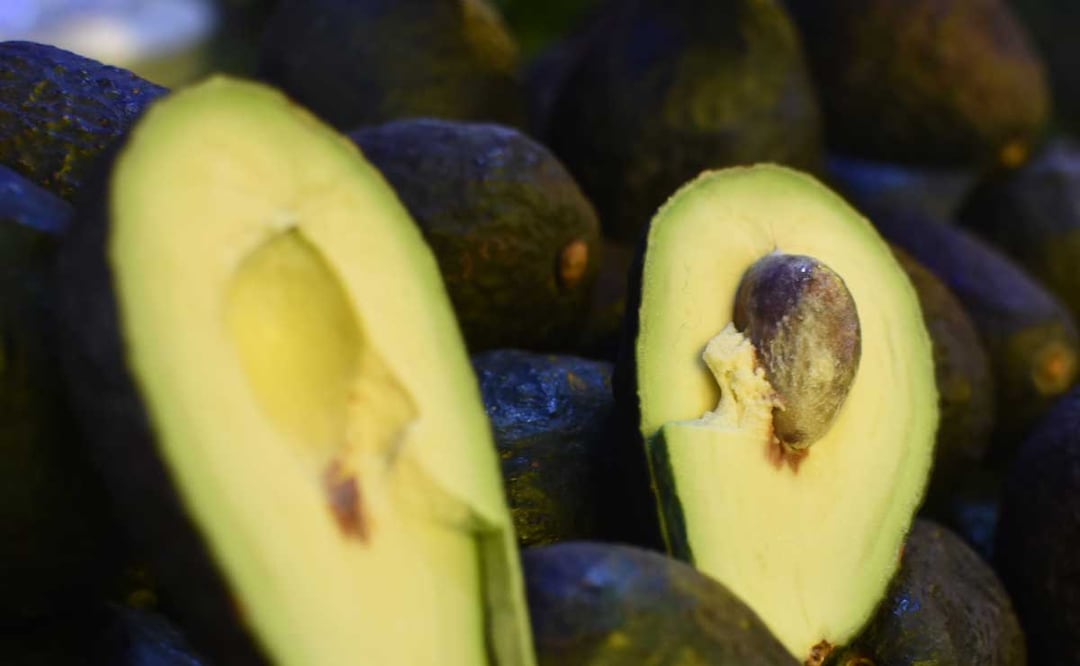 Foto: Agencia Es Imagen para El Universal Puebla