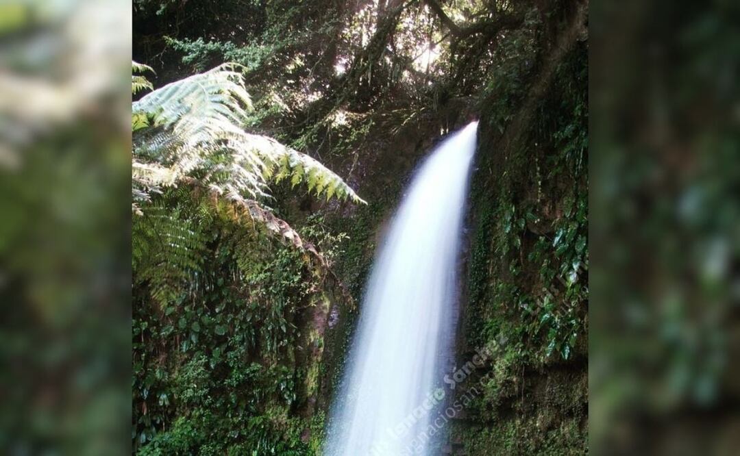 Este rancho en Teziutlán lo tiene todo | Foto: Instagram Luis Ignacio Sánchez