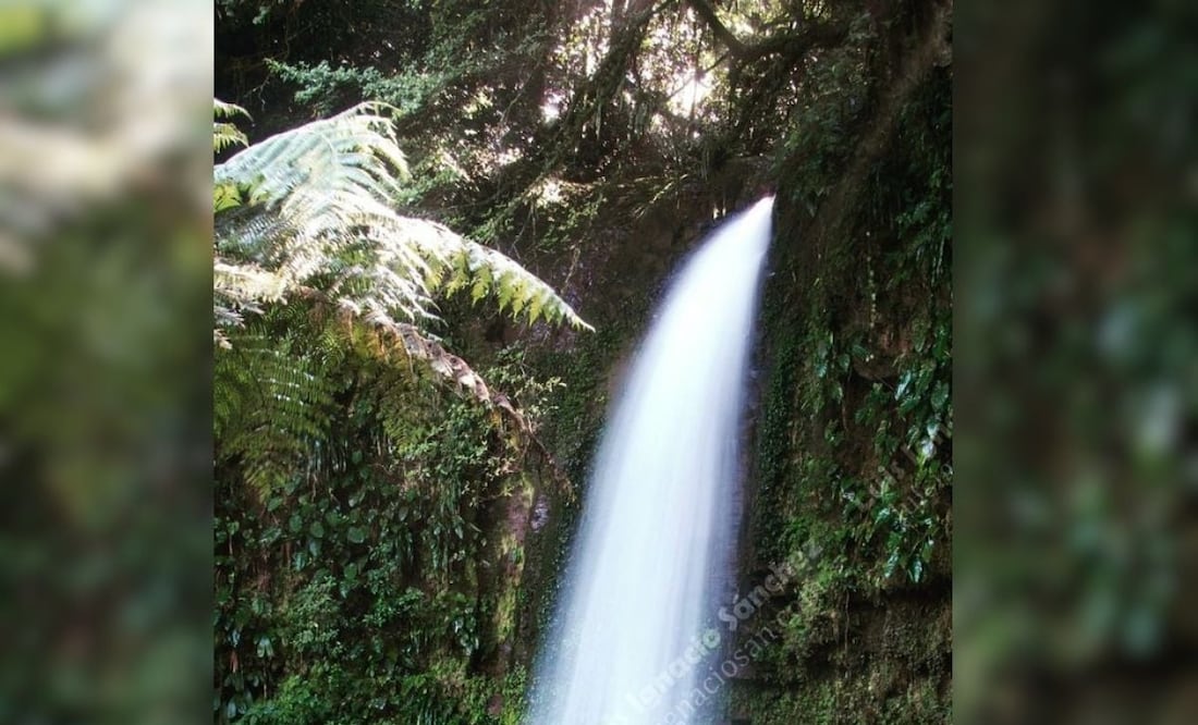 Este rancho en Teziutlán lo tiene todo | Foto: Instagram Luis Ignacio Sánchez