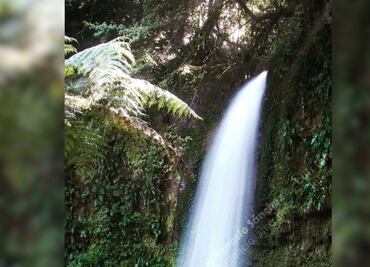 El Breñal, un paraíso en la Perla de la Sierra de Puebla