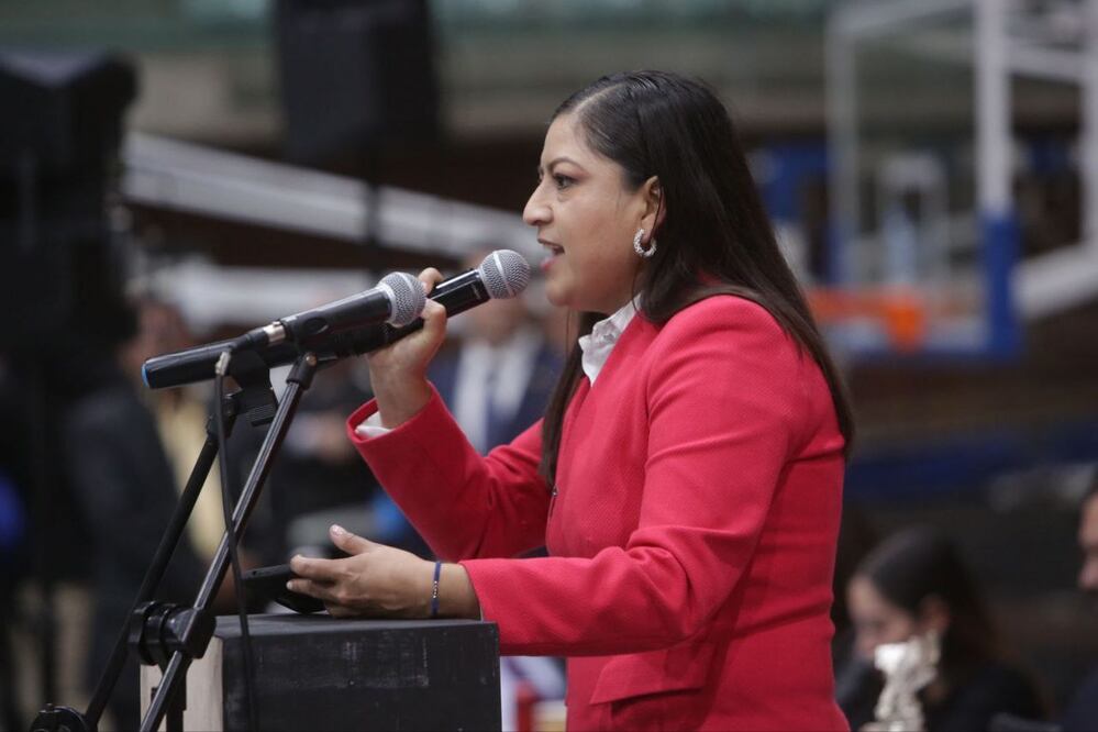 Claudia Rivera habló durante la sesión de la Cámara de Diputados | Foto: Especial