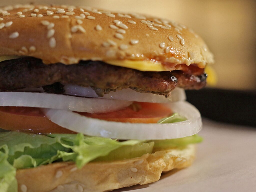 Anvorguesita sin culpas, la UNAM revela que es un alimento nutritivo