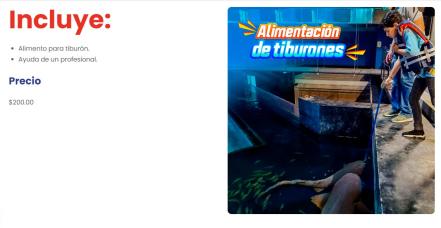 Acuario Michin Puebla: vive aventuras extremas con la vida marina