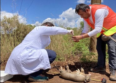 Científico de la BUAP investiga patógenos en animales silvestres de Brasil