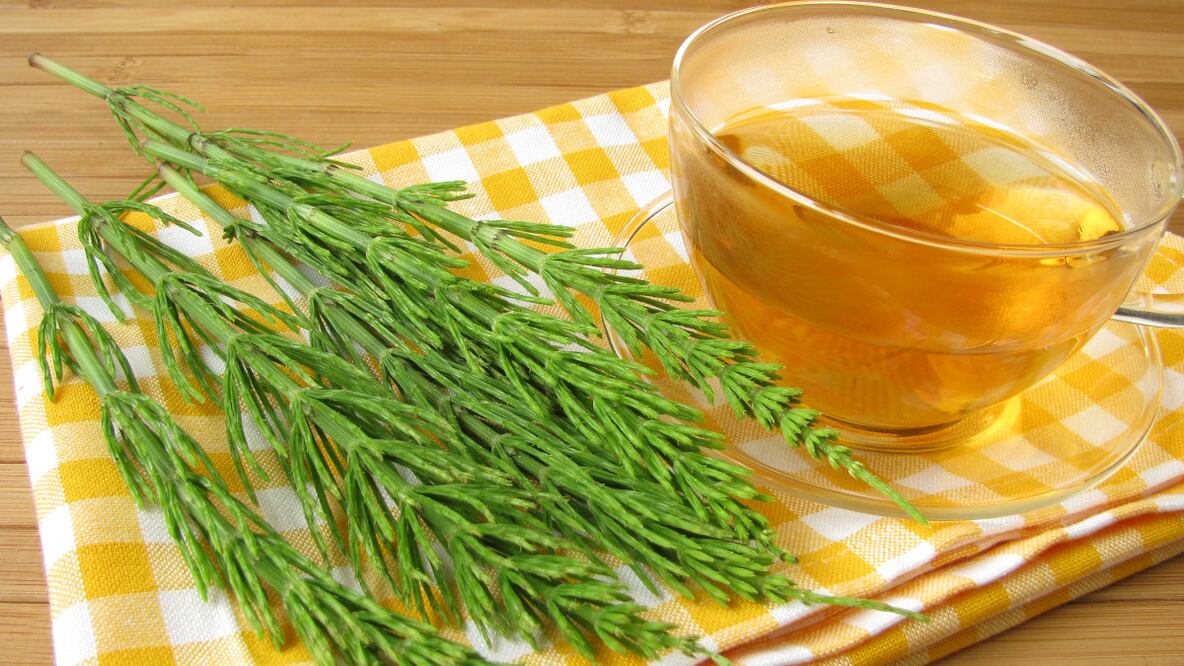 Uno de los problemas de salud más comunes en la actualidad, aunque no siempre es evidente, son los cálculos renales, también denominados nefrolitiasis o urolitiasis, y comúnmente conocidos como “piedras en los riñones”. 

Foto: Producción El Universal Puebla