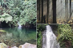 Conoce el bosque frío para disfrutar el otoño en Puebla