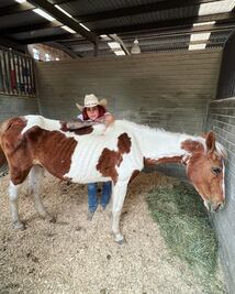 Quién es Elena Larrea, la modelo que ha rescatado más de 300 caballos en Cuacolandia