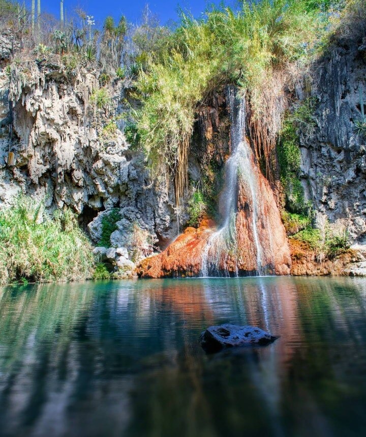 Captura la belleza escénica del lugar, desde las cascadas hasta la flora y fauna autóctona | Foto: Facebook  Puebla-México mágico.