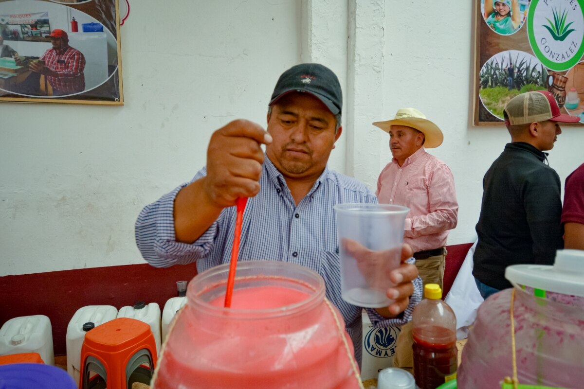 Conoce todos los detalles de la próxima Feria del Pulque en Puebla 2024 | ES IMAGEN