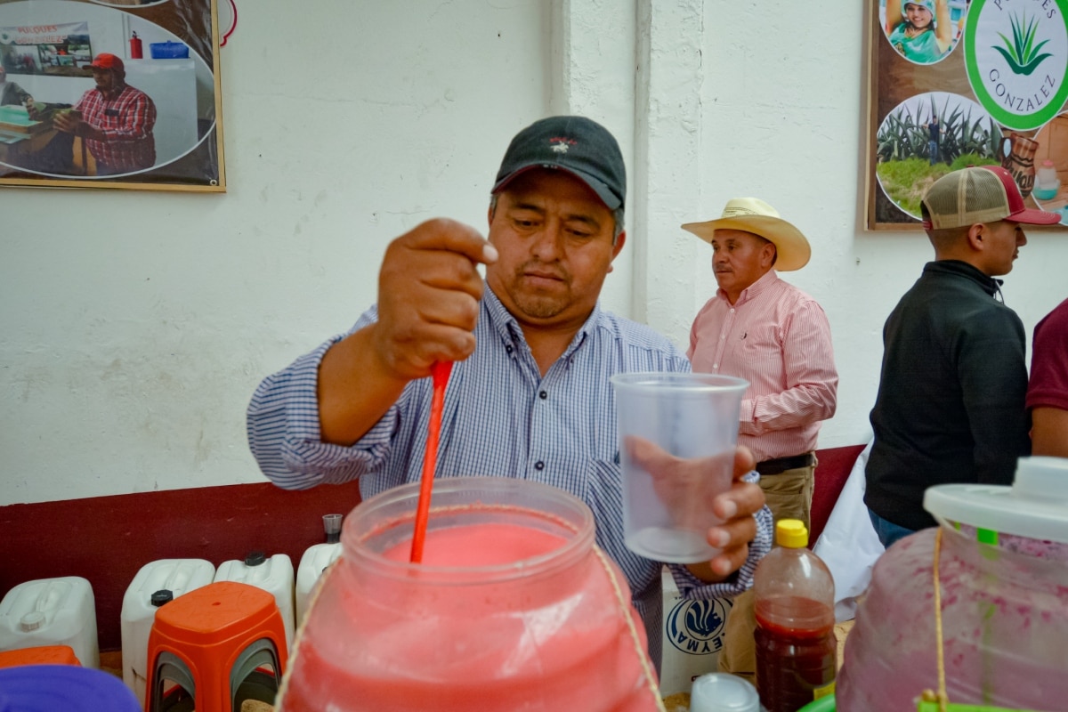 Feria del Pulque en Puebla 2024: Fecha, sede y todo lo que necesitas saber