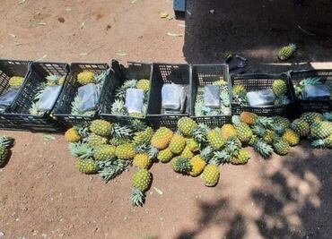 ¡Traficaba cocaína en piñas! Guardia Nacional detecta cargamento de droga en la Puebla-Acatzingo