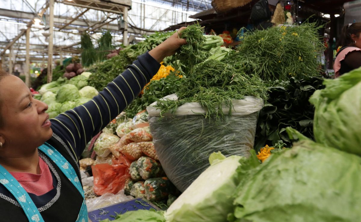Las lluvias y heladas han afectado la cosecha, reduciendo la disponibilidad de romeritos, un ingrediente esencial en las celebraciones navideñas. 

Foto: Producción El Universal Puebla 