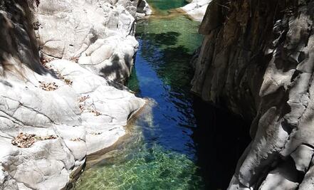 Así son las pozas en Tlaxco, a menos de 90 minutos de Puebla