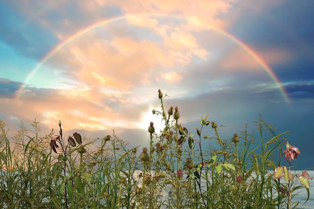 La renovación del equinoccio de primavera y su impacto en los signos del zodíaco. Fuente: Freepik.