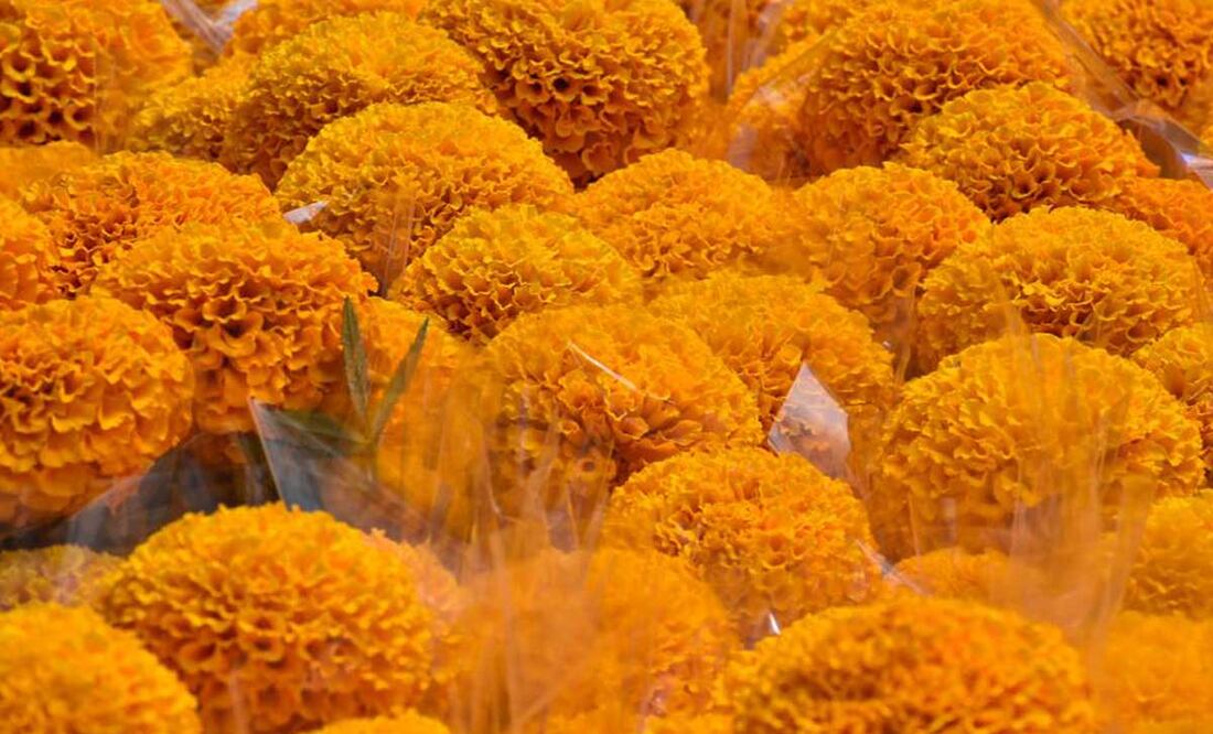 Foto: Agencia Es Imagen para El Universal Puebla