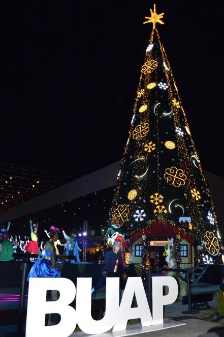 5 árboles monumentales para visitar en Puebla