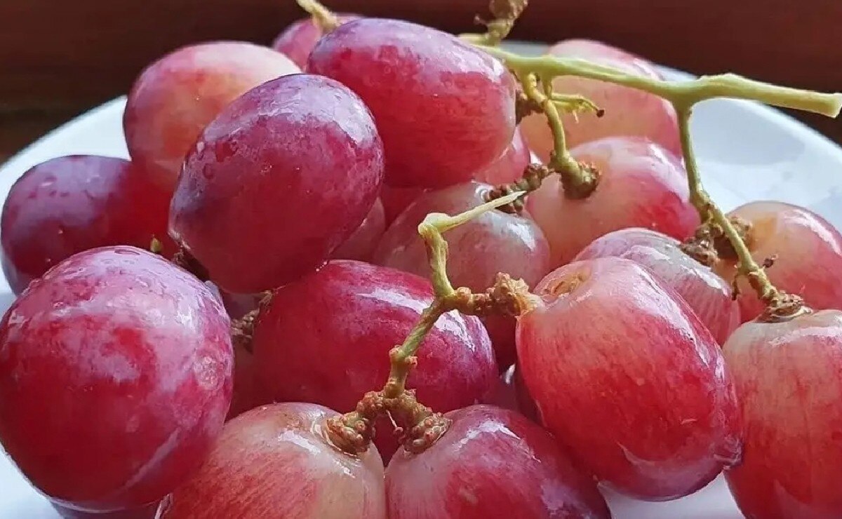 Llega el otoño y estas son las frutas de temporada