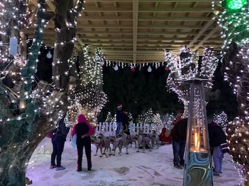 Así es Noelandia, la villa iluminada de Volcanic Park donde puedes cortar tu árbol navideño
