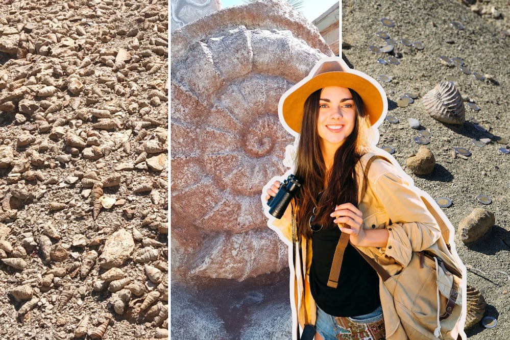 En Puebla alguna vez existió un océano, aunque ahora ya no hay agua | Foto: FB San Juan Raya / INAH / Freepik