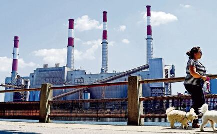 ¿Qué es y cómo funcionan los bonos de carbono?