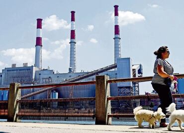 ¿Qué es y cómo funcionan los bonos de carbono?