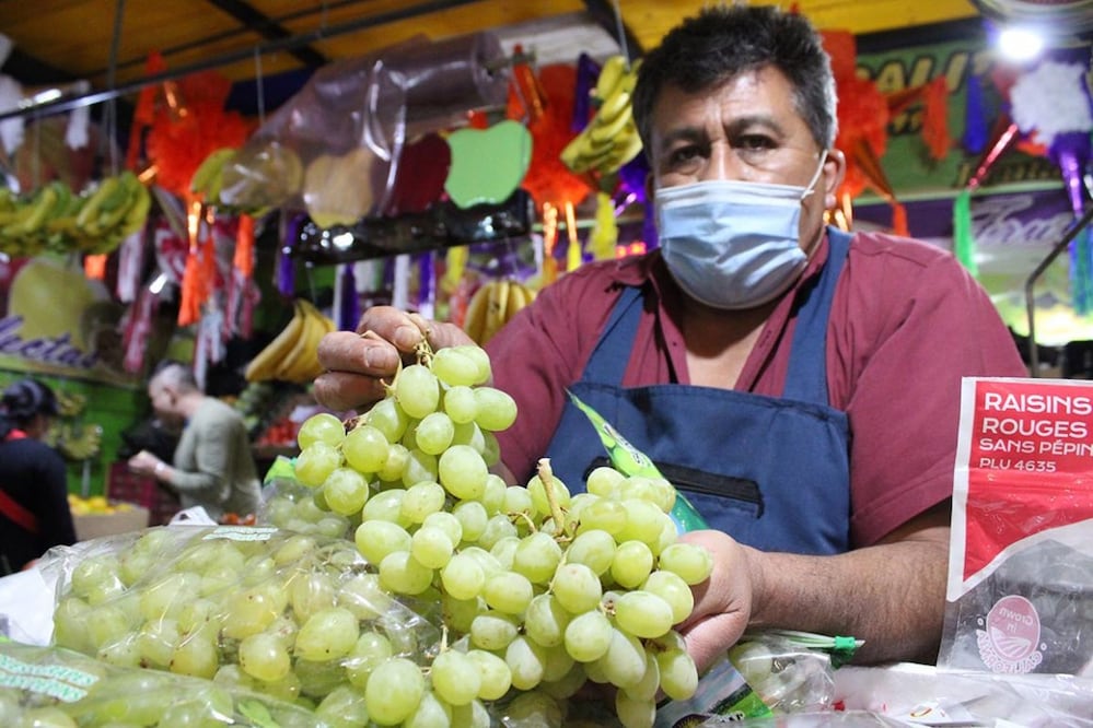Según Juan Carlos Anaya, para lo que resta de diciembre, se espera un incremento adicional en el precio de la uva, como ocurre cada año, dado que es uno de los productos hortofrutícolas más populares durante la época decembrina.
Foto: Producción El Universal Puebla