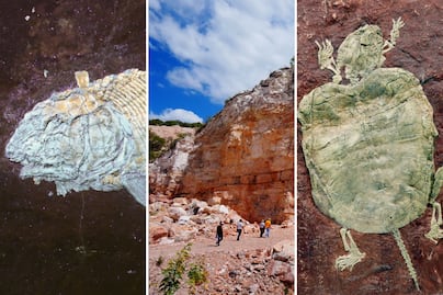 Descubre la pequeña Arizona de Puebla donde hallaron fósiles prehistóricos