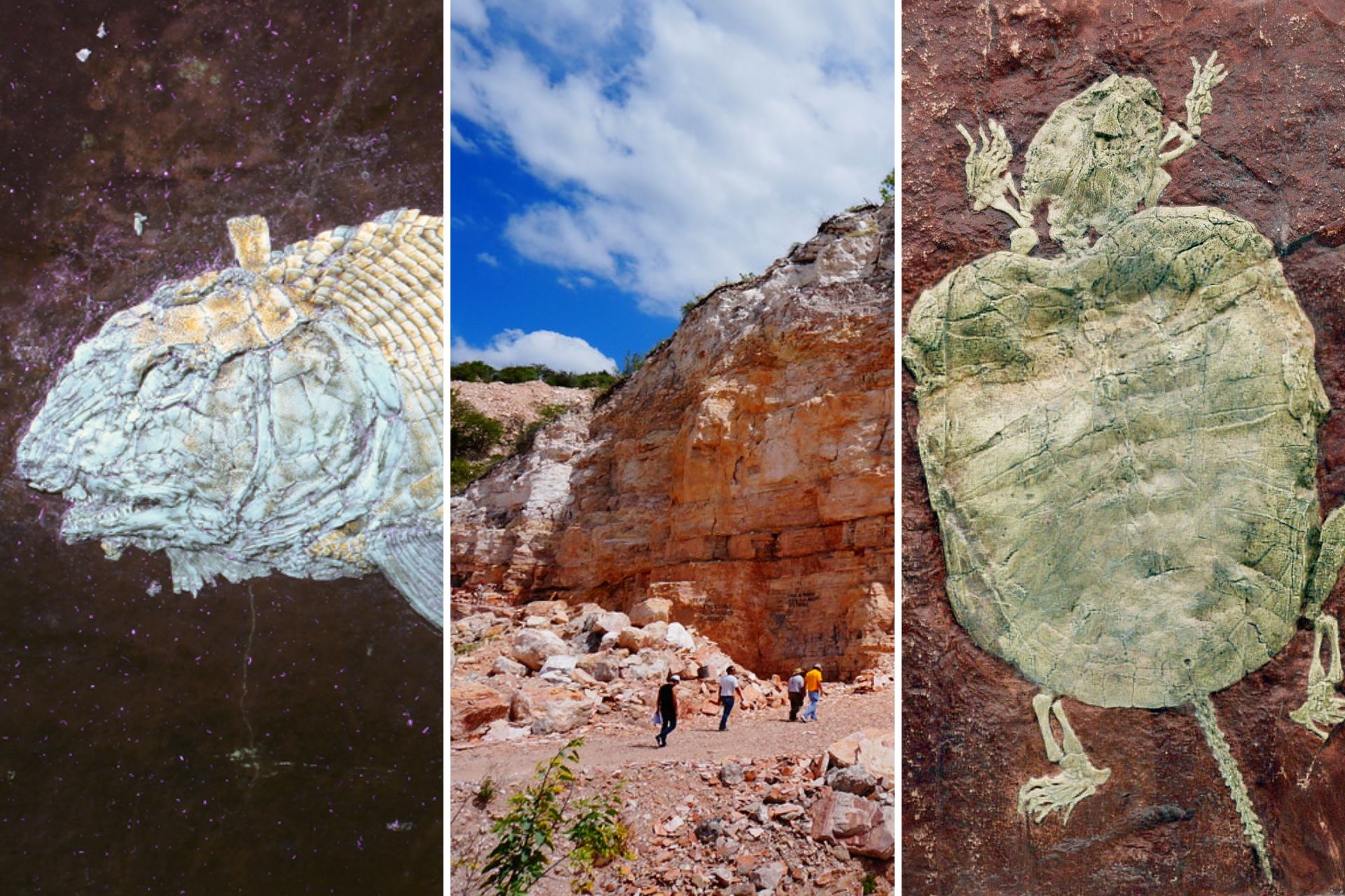 Descubre la pequeña Arizona de Puebla donde hallaron fósiles prehistóricos