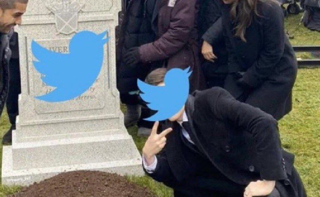 Twitter podría llegar a su fin, según el pronóstico de internautas | Foto: Twitter Elon Musk