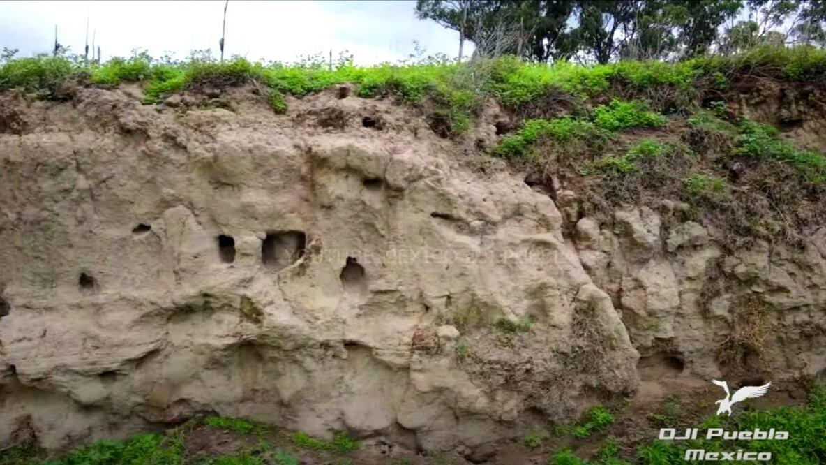 Imagen tomada de la pantalla