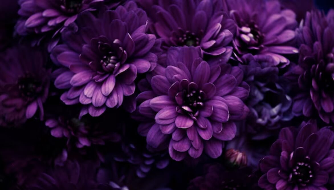 Este acto de regalar flores va más allá de un simple obsequio; es una manera profunda y significativa de expresar afecto, aprecio y reconocimiento.
Foto: Producción El Universal Puebla