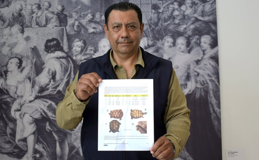 Investigadores BUAP registran nuevos ejemplares de tortuga en el estado de Puebla | Foto: BUAP.
