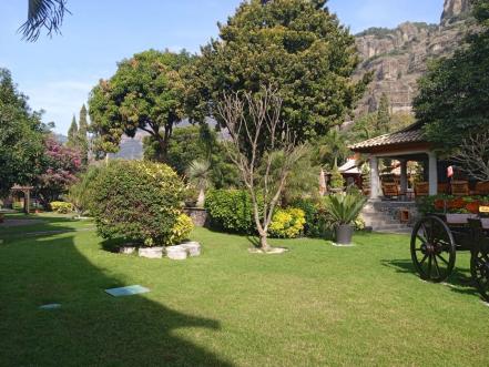 Visita La Buena Vibra, un hotel solo para adultos en Tepoztlán