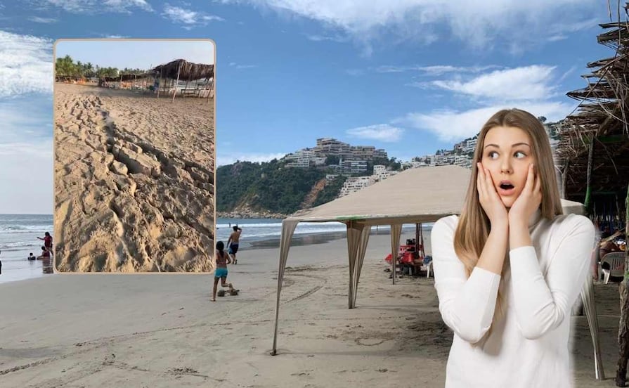 VIDEO Reportan grietas en una playa de Acapulco por sismo magnitud 6.5; van 420 réplicas