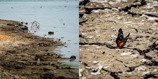 Lagunas que están en peligro de extinción por la sequía en Puebla