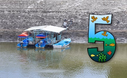 5 cosas que debes saber sobre el nuevo puente de Valsequillo