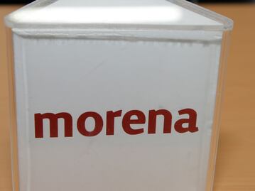 ¿Quiénes son los candidatos a diputados locales de Morena?