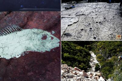 3 lugares en Puebla donde aún puedes ver fósiles de cuando hubo mar