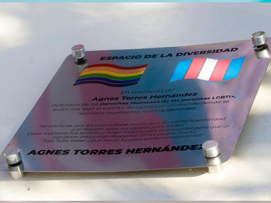 Foto: Agencia Enfoque