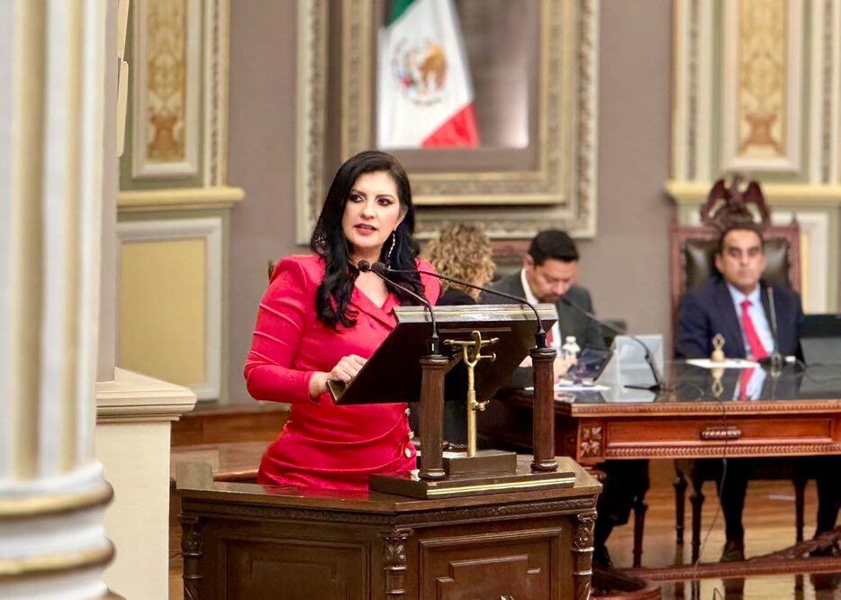 La diputada Delfina Pozos presentó el punto de acuerdo | Foto: Especial