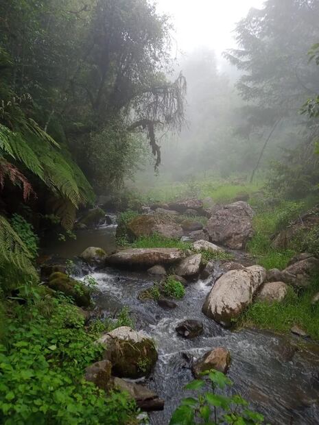 Foto: Google Maps