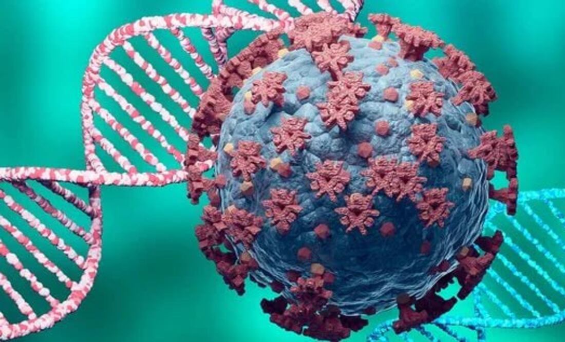 La variante XBB.1.16, también conocida como “Arcturus”, tiene presencia en 22 países | Foto: paho