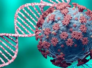 Variante XBB de Covid-19: ¿Es una nueva amenaza para Puebla?