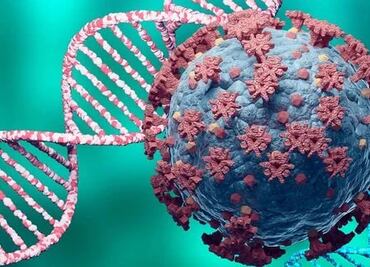 Variante XBB de Covid-19: ¿Es una nueva amenaza para Puebla?