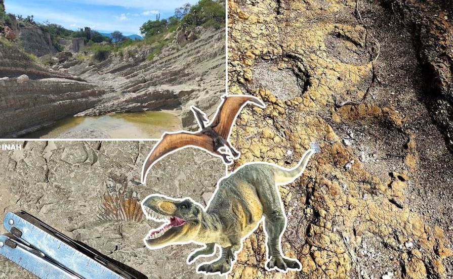 Jurassic Puebla: INAH descubre huellas de dinosaurios en Tehuacán y confirma que sí había mar