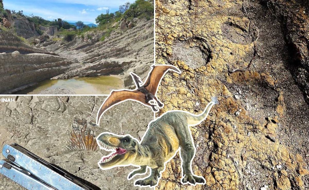 La evidencia del INAH muestra que en Puebla vivieron varias especies de dinosaurios y que también hubo vida marina | Foto: INAH