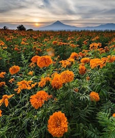 Cinco lugares únicos cerca de Puebla para tomar fotos increíbles del Día de Muertos