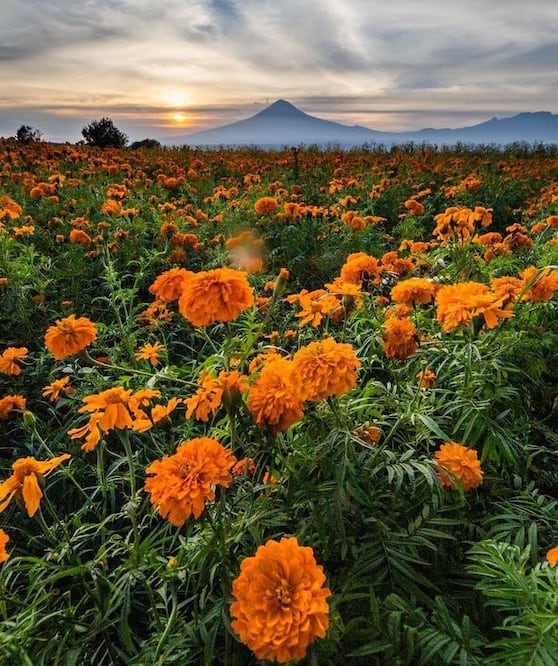 El valle de Atlixco es una excelente opción para deslumbrarte con sus paisajes | Foto: Instagram nomadaenpatineta